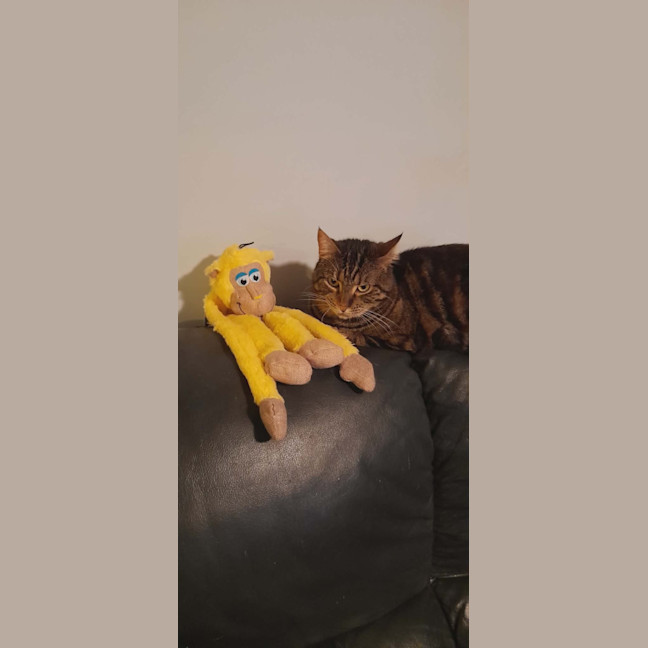 Photo of Tilly 