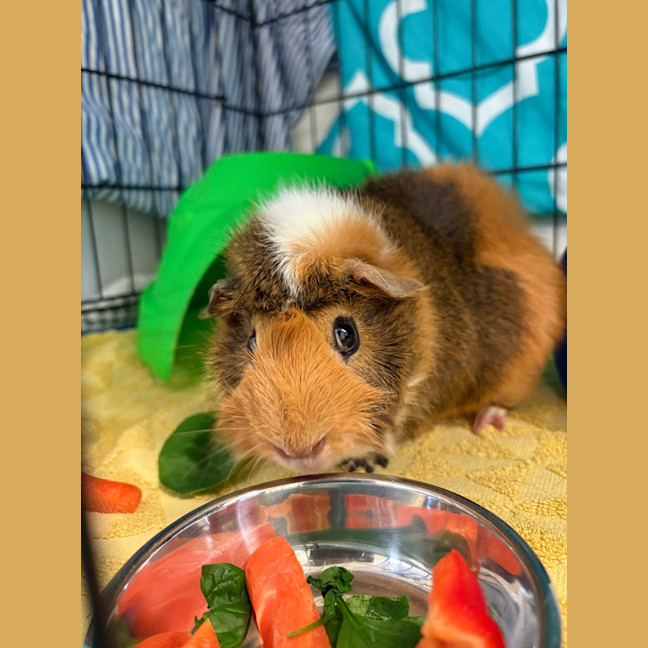 Photo of Patrick