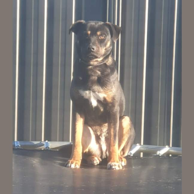 Photo of Max
