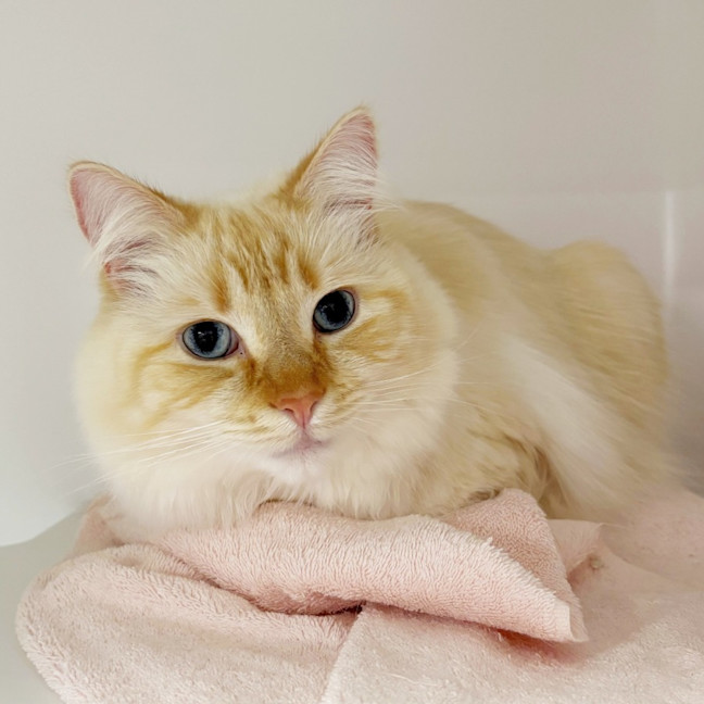 Photo of Levi Sua013755