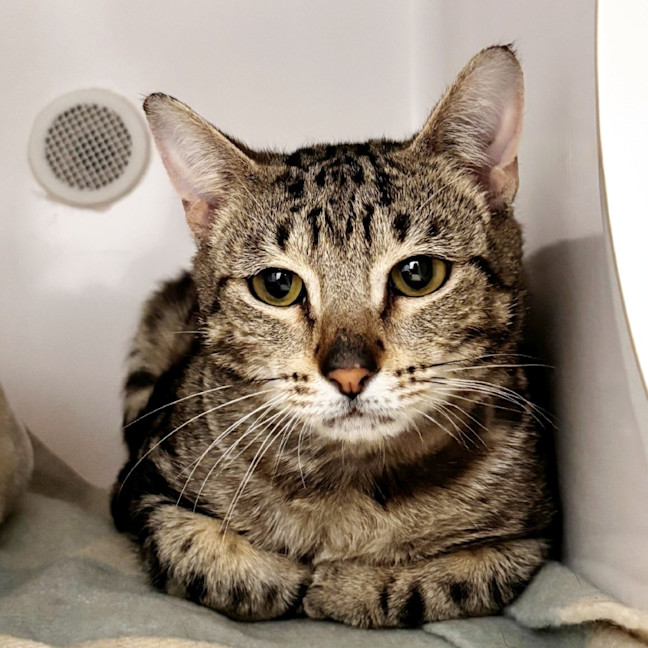 Photo of Charles Sua014356