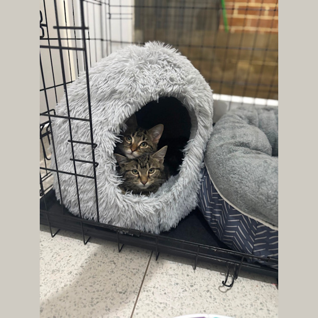 Photo of Channing 💙