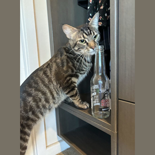 Photo of Gus