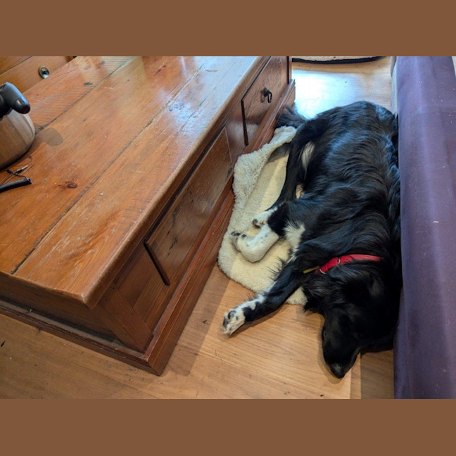 Photo of Finn Quinell