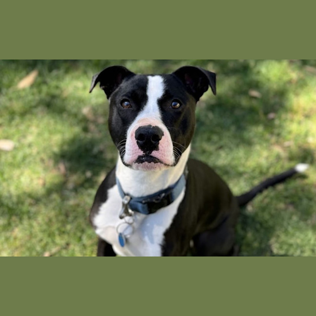 Photo of Jack