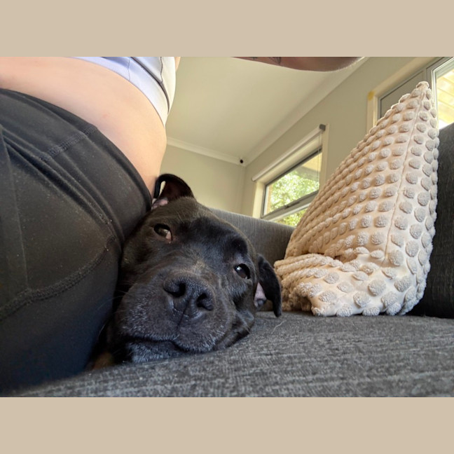 Photo of George Costanza