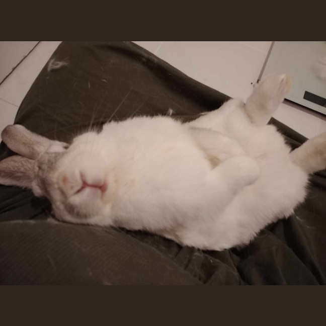 Photo of Adorable Piotr