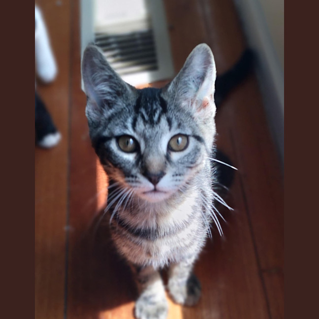 Photo of 🌼 Dakota 🌼