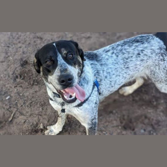 Photo of Dora