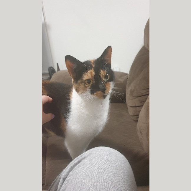 Photo of Queen Mimmi