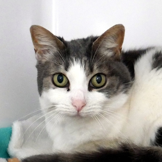 Photo of Billie Sta014800