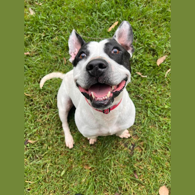 Photo of Biggie Smallz