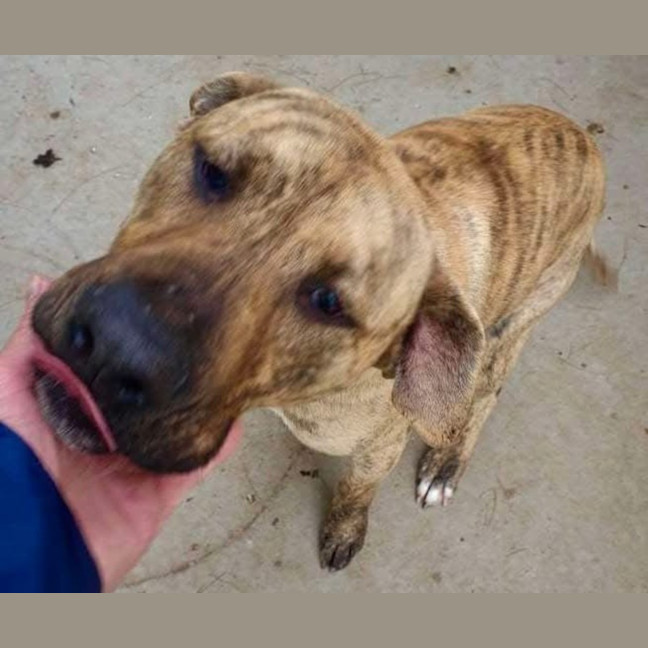 Photo of Wilma Fingerdoo