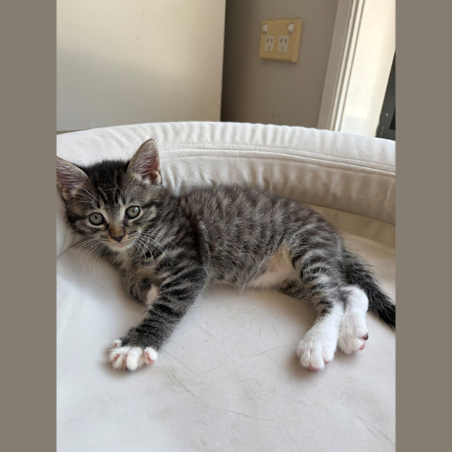 Photo of Minnie
