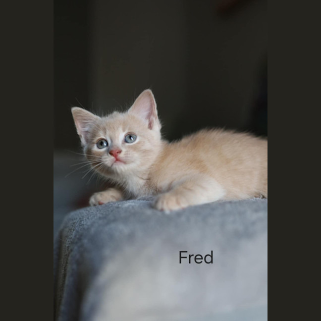 Photo of Fred 