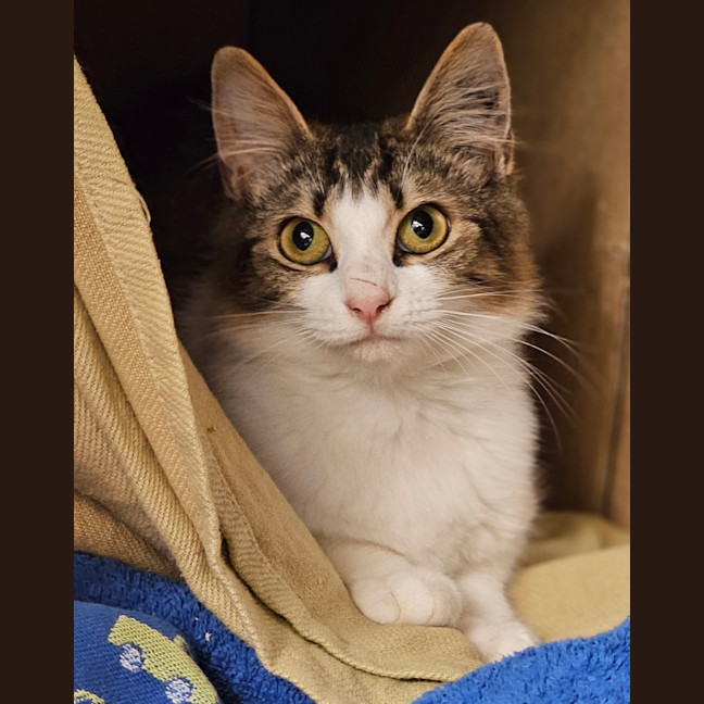 Photo of Ziggy