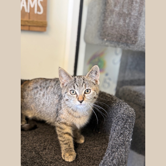 Photo of Nina   Burnie