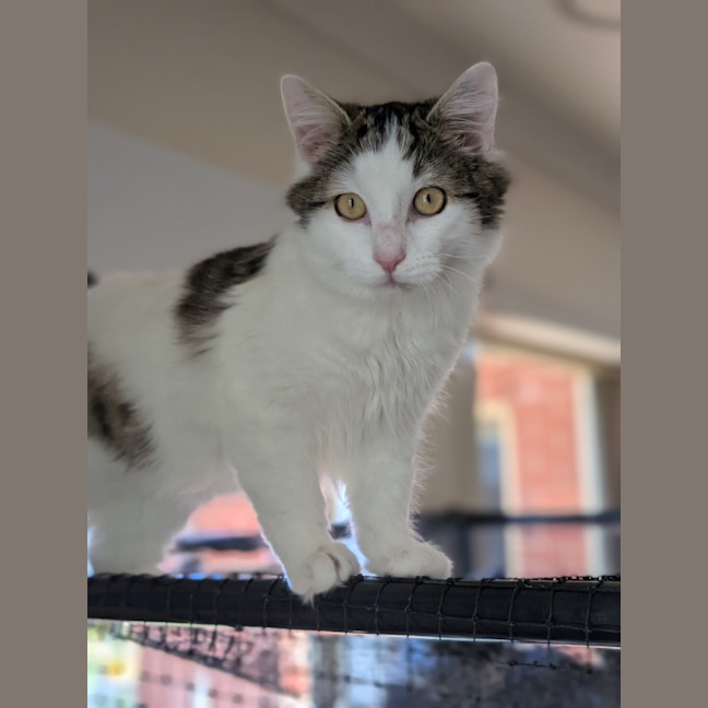 Photo of Jeffrey