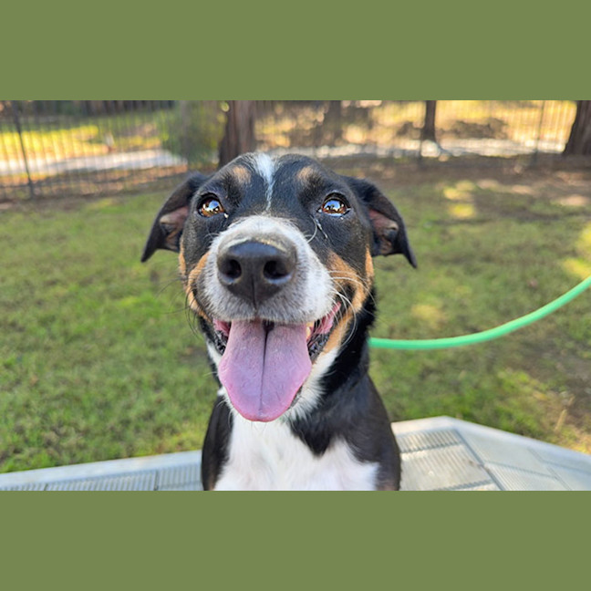 Photo of Timmy