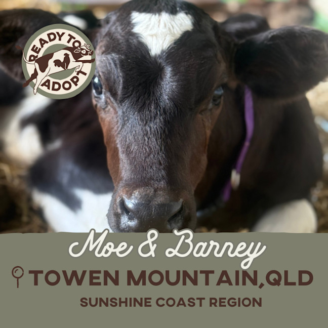 Photo of Moe & Barney