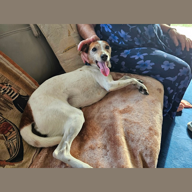 Photo of Abbott & Costello