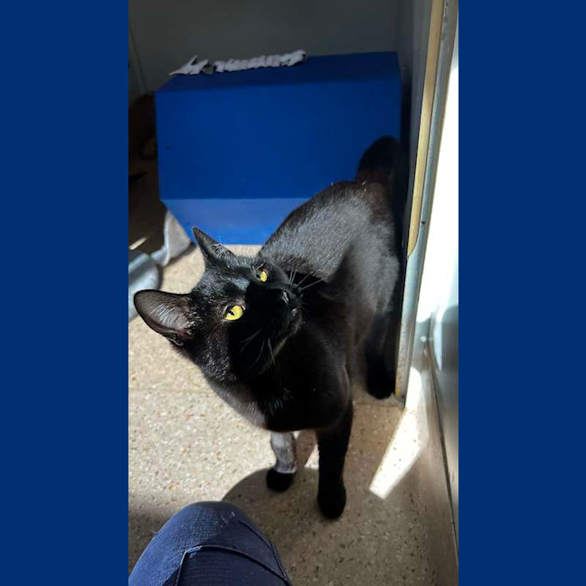 Photo of Augie