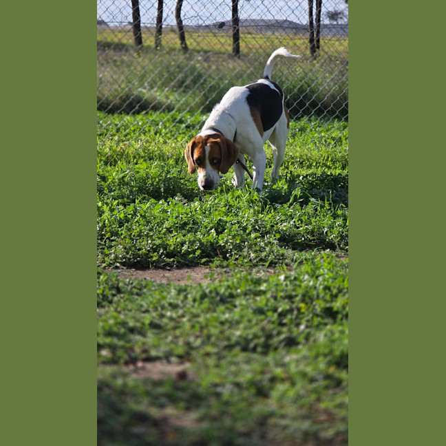 Photo of Wally