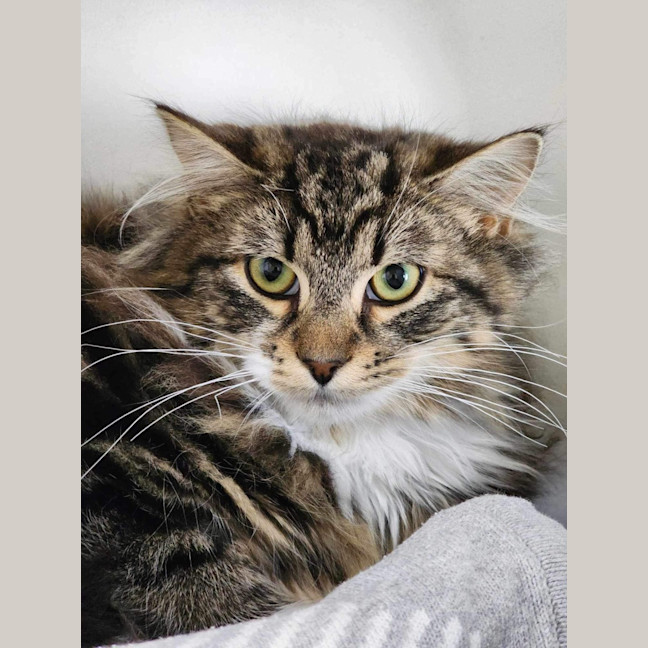 Photo of 🥼 Jesse 5511 🥼