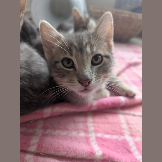 Photo of Hugo Scotty