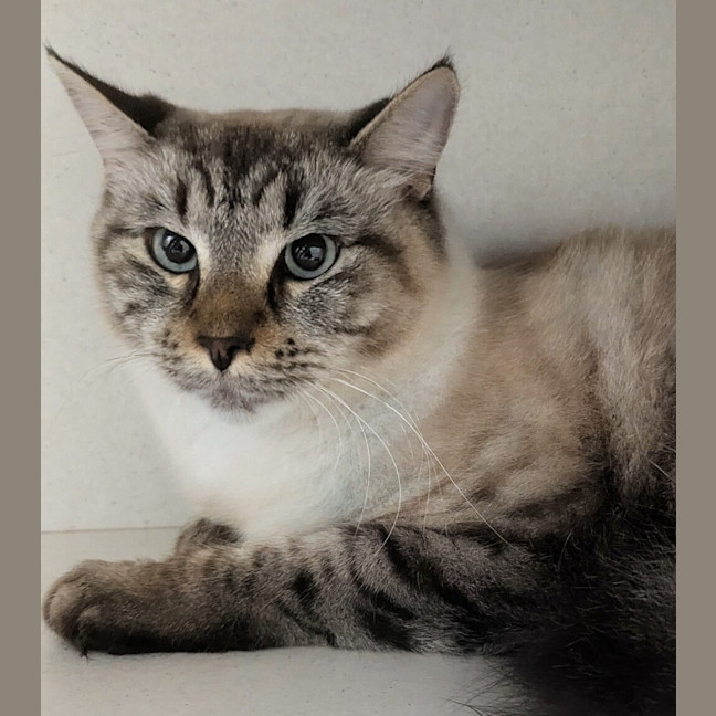 Photo of Georgie