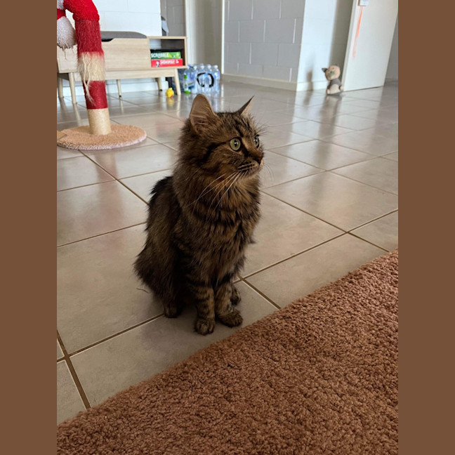 Photo of Nashi (Quinn)