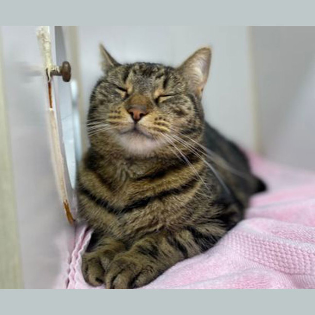 Photo of Emile