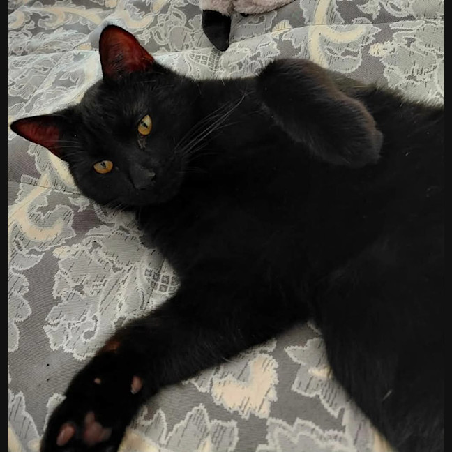 Photo of Churro