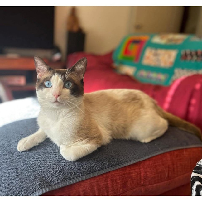 Photo of 13400   Indra