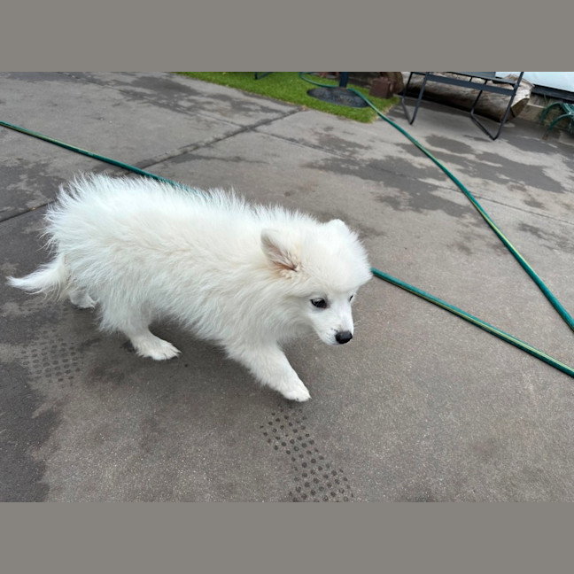 Photo of Cotton & Cloud