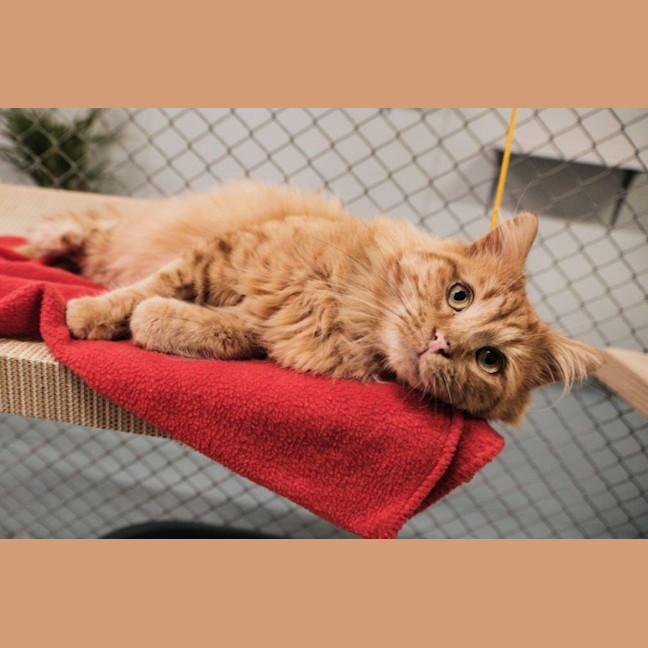 Photo of Gaston Quinnell