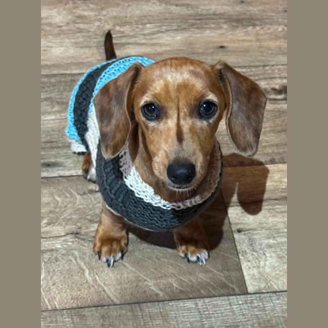 Photo of Peanut