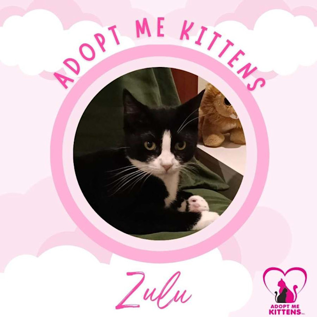 Photo of Zulu