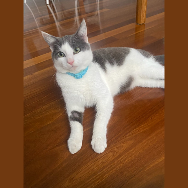 Photo of C1318 Micky