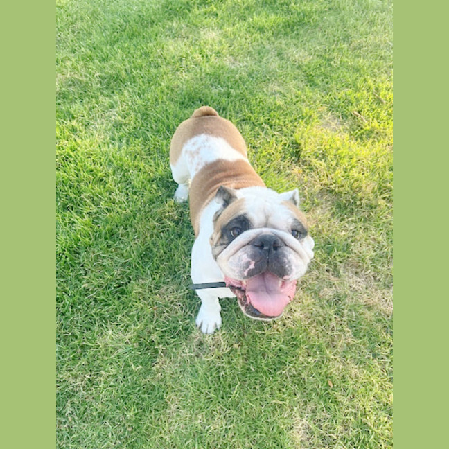 Photo of 👅Gordito👅