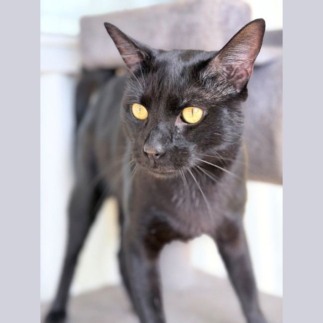 Photo of Vinnie