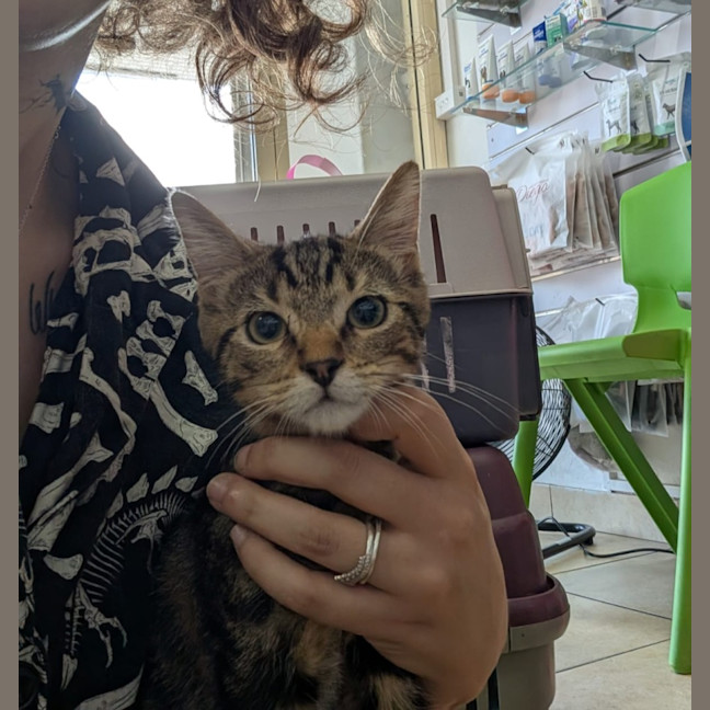 Photo of Rascal