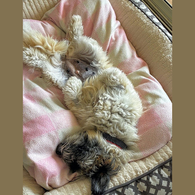 Photo of Maggie