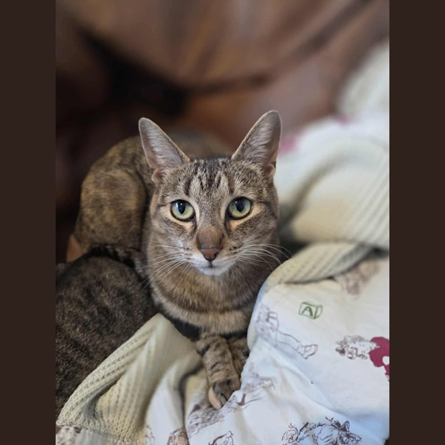 Photo of Milo / Otis