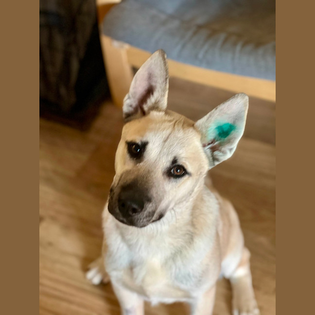Photo of Flufferson