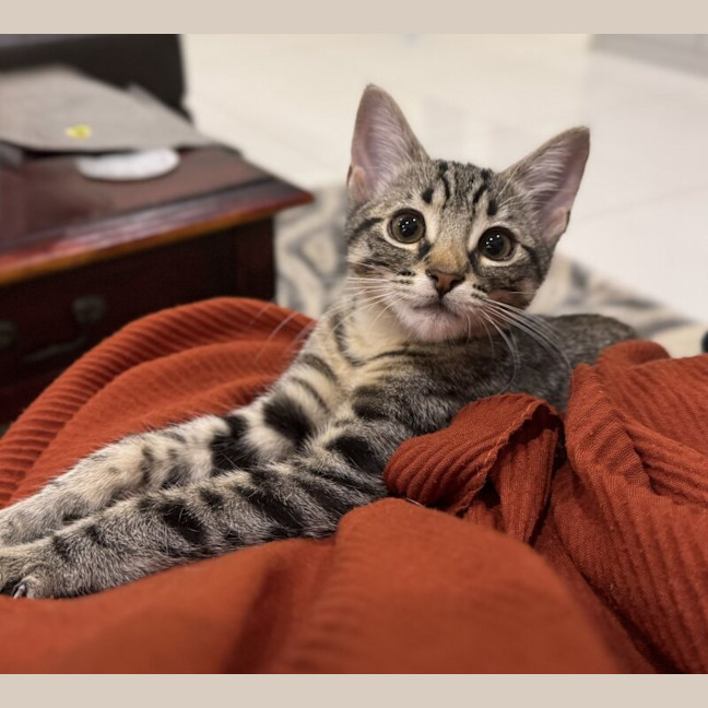 Photo of Bon Bon