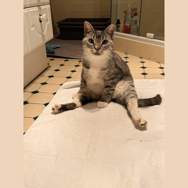 Photo of Thunda