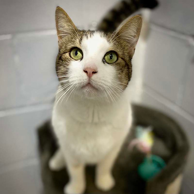 Photo of Mable