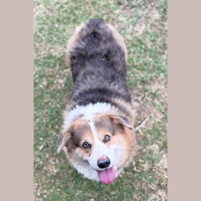 Photo of Duke