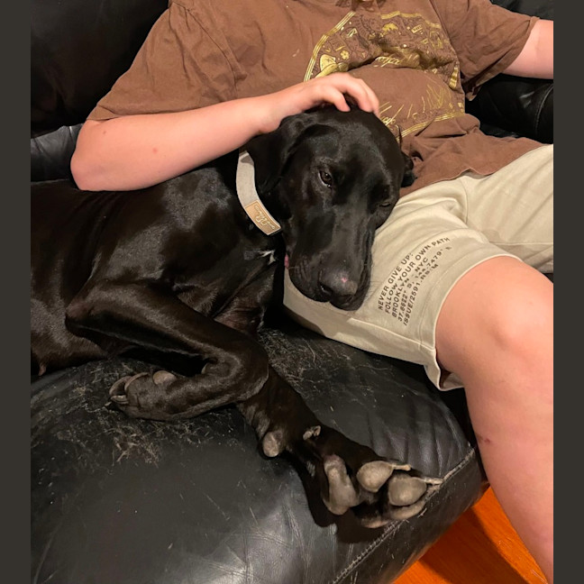 Photo of Ebony Darkness